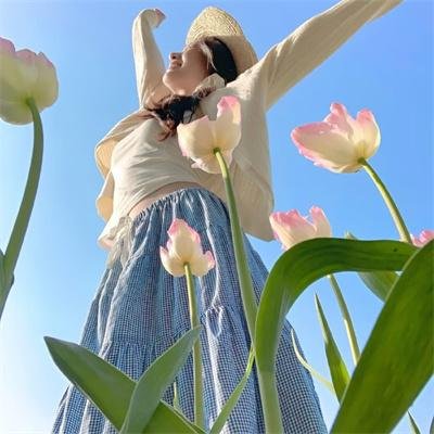 柞蚕